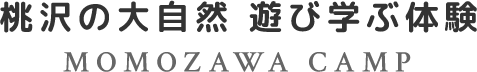 桃沢の大自然 遊び学ぶ体験